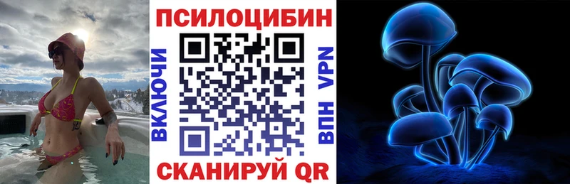 Псилоцибиновые грибы прущие грибы  Терек 